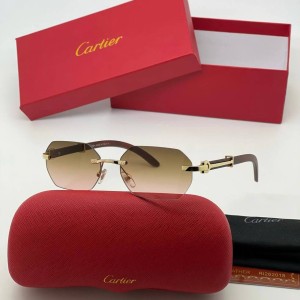 Очки Cartier A2118