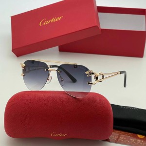 Очки Cartier A3421