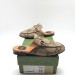 Мюли Gucci F1657