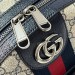 Рюкзак Gucci Ophidia GG K1010