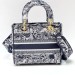 Сумка Christian Dior Lady D-Lite K1072