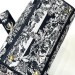 Сумка Christian Dior Lady D-Lite K1072