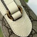 Сумка Gucci Ophidia GG K1198