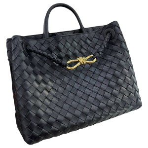 Сумка Bottega Veneta Medium Andiamo L4765