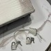 Сумка Hermes Himalaya Birkin 25 L4796