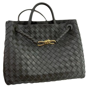 Сумка Bottega Veneta Medium Andiamo L4764