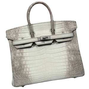 Сумка Hermes Himalaya Birkin 25 L4796
