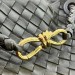 Сумка Bottega Veneta Medium Andiamo L4764