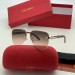 Солнцезащитные очки Cartier Q1660