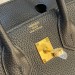 Сумка Hermes Birkin 25 Togo R1135