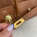 Сумка Hermes Birkin 25 R1254