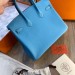 Сумка Hermes Birkin 25 R1388