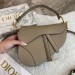 Сумка Christian Dior Saddle R1457
