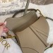 Сумка Christian Dior Saddle R1457