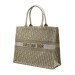Сумка Christian Dior Book Tote R1958