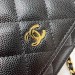 Сумка Chanel Woc R2949