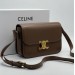 Сумка Celine Classique Triomphe RP3835