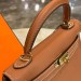 Сумка Hermes Kelly 25 Togo R3277
