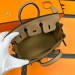 Сумка Hermes Birkin 25 R2194