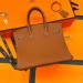 Сумка Hermes Birkin 25 R2196