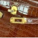 Сумка Hermes Kelly 25 R2229