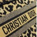 Сумка Christian Dior Book Tote Small R2420