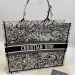 Сумка Christian Dior Book Tote R3322