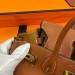 Сумка Hermes Birkin 25 R2196