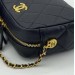Сумка Chanel Caviar Camera Bag R2403