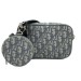 Сумка Christian Dior R3244