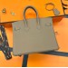 Сумка Hermes Birkin 25 R2194