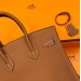 Сумка Hermes Birkin 25 R2201