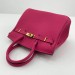 Сумка Hermes Birkin 25 R2288