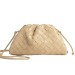 Сумка Bottega Veneta Mini Pouch R2697