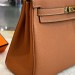 Сумка Hermes Kelly 25 Togo R3277