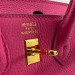 Сумка Hermes Birkin 25 R2288
