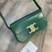 Сумка Celine Triomphe R2965
