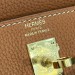Сумка Hermes Kelly 25 Togo R3277