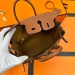 Сумка Hermes Birkin 25 R2196