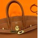 Сумка Hermes Birkin 25 R2196