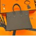 Сумка Hermes Birkin 25 R2195