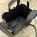 Сумка Christian Dior Toujours Medium RB4559