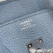 Сумка Hermes Birkin 25 RB5567