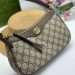 Сумка Gucci Ophidia RP5975