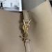 Сумка Saint Laurent Le 5 A 7 Soft Large RR6208