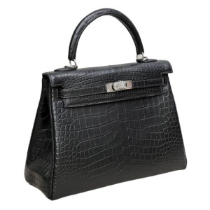 Сумка Hermes Kelly 25 RE5031