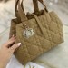 Сумка Christian Dior Toujours Medium RB4560