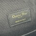 Сумка Christian Dior C'est Dior RE6335