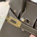 Сумка Hermes Birkin 25 RB4323