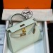 Сумка Hermes Kelly Sellier 19 Bambou Chevre RE5009